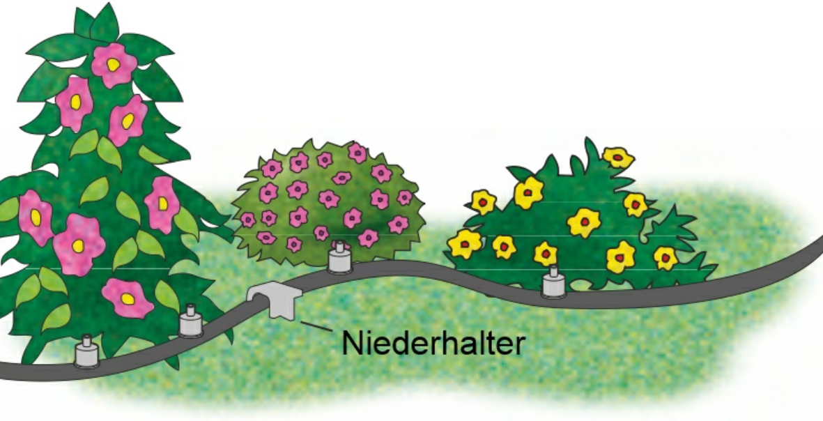 Niederhalter für Tropfleitung und Versorgungsleitung