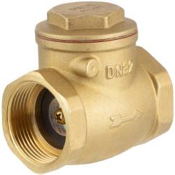 Brass female threaded check valve