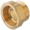 Brass male/female threaded socket