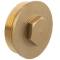 Brass male threaded end cap