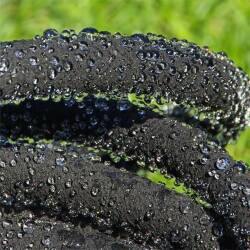 Tropfschlauch Schwitzschlauch Perlschlauch