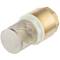 Brass female threaded foot valve with steel basket and brass lock