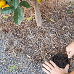 Root zone watering system