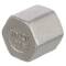 A4 ss female threaded hexagonal end cap